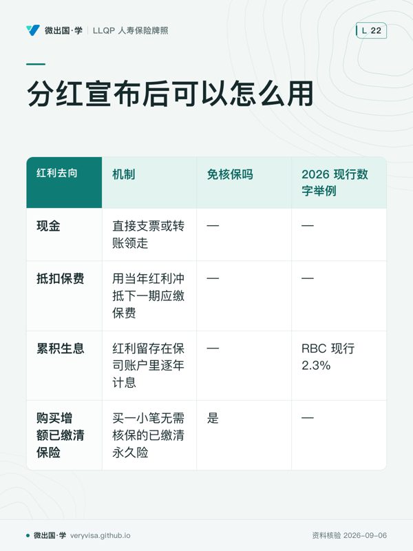 分红宣布后可以怎么用；机制；免核保吗；2026 现行数字举例；现金；直接支票或转账领走；—；—；抵扣保费；用当年红利冲抵下一期应缴保费；—；—；累积生息；红利留存在保司账户里逐年计息；—；RBC 现行 2.3%；购买增额已缴清保险；买一小笔无需核保的已缴清永久险；是；—