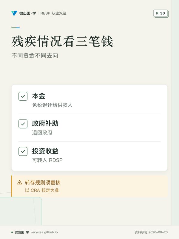 残疾情况看三笔钱；不同资金不同去向；本金；政府补助；投资收益；转存规则须复核