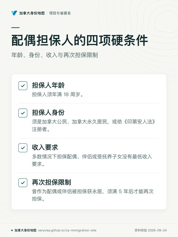 配偶担保人的四项硬条件；年龄、身份、收入与再次担保限制；担保人年龄；担保人身份；收入要求；再次担保限制