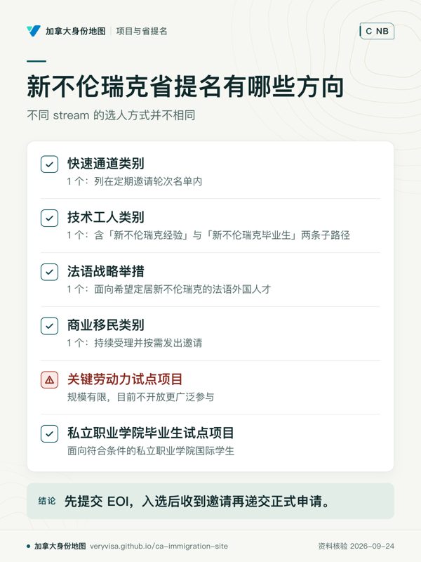 新不伦瑞克省提名有哪些方向；不同 stream 的选人方式并不相同；快速通道类别；技术工人类别；法语战略举措；商业移民类别；关键劳动力试点项目；私立职业学院毕业生试点项目；先提交 EOI，入选后收到邀请再递交正式申请。