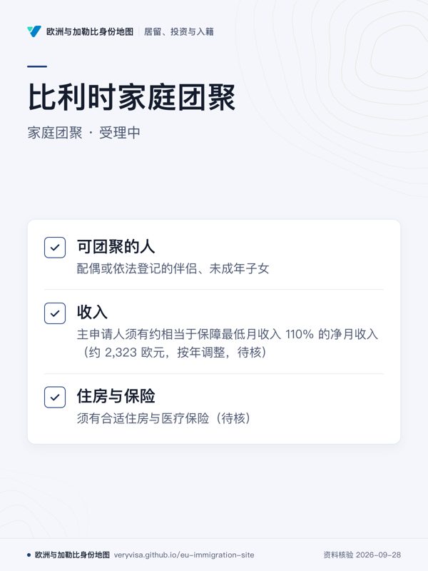 比利时家庭团聚;家庭团聚 · 受理中;可团聚的人;收入;住房与保险