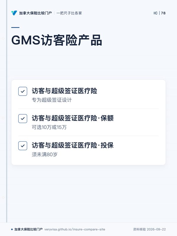 GMS访客险产品；访客与超级签证医疗险；访客与超级签证医疗险·保额；访客与超级签证医疗险·投保