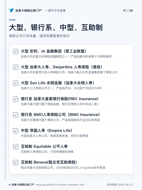 大型、银行系、中型、互助制;每家公司只写体量、强项和要留意的地方;大型 宏利、iA 金融集团(原工业联盟);大型 加拿大人寿、Desjardins 人寿保险(德佳);大型 Sun Life 永明金融(加拿大永明人寿);银行系 加拿大皇家银行保险(RBC Insurance);银行系 BMO人寿保险公司(BMO Insurance);中型 帝国人寿(Empire Life);互助制 Equitable 公平人寿;互助制 Beneva(魁北克互助保险)