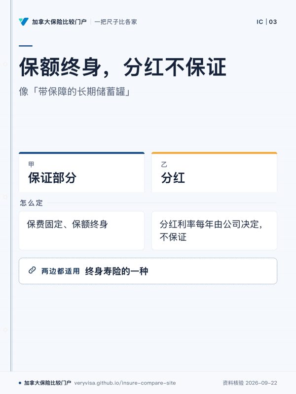 保额终身,分红不保证;像「带保障的长期储蓄罐」;保证部分;分红;怎么定;终身寿险的一种