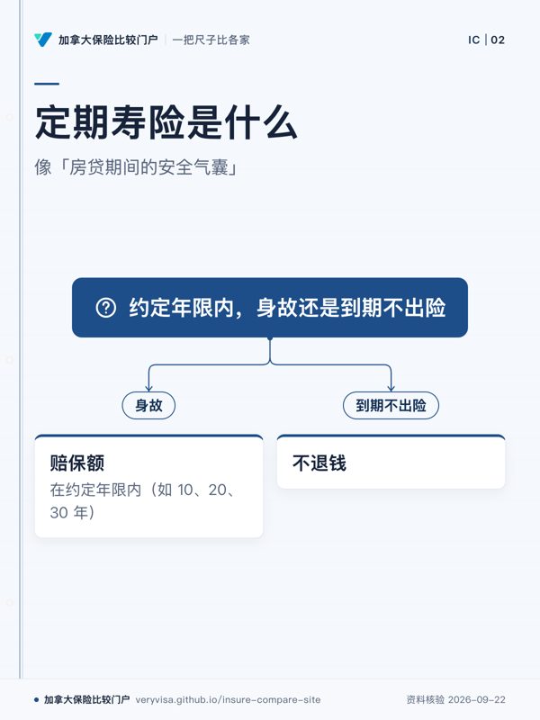 定期寿险是什么;像「房贷期间的安全气囊」;约定年限内,身故还是到期不出险;身故;赔保额;到期不出险;不退钱