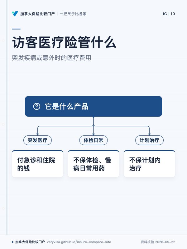 访客医疗险管什么;突发疾病或意外时的医疗费用;它是什么产品;突发医疗;付急诊和住院的钱;体检日常;不保体检、慢病日常用药;计划治疗;不保计划内治疗