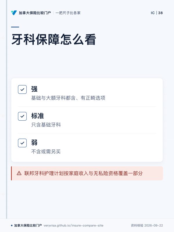 牙科保障怎么看；强；标准；弱；联邦牙科护理计划按家庭收入与无私险资格覆盖一部分