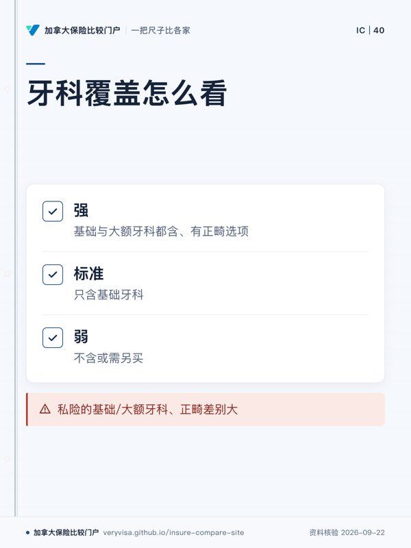 牙科覆盖怎么看；强；标准；弱；私险的基础/大额牙科、正畸差别大
