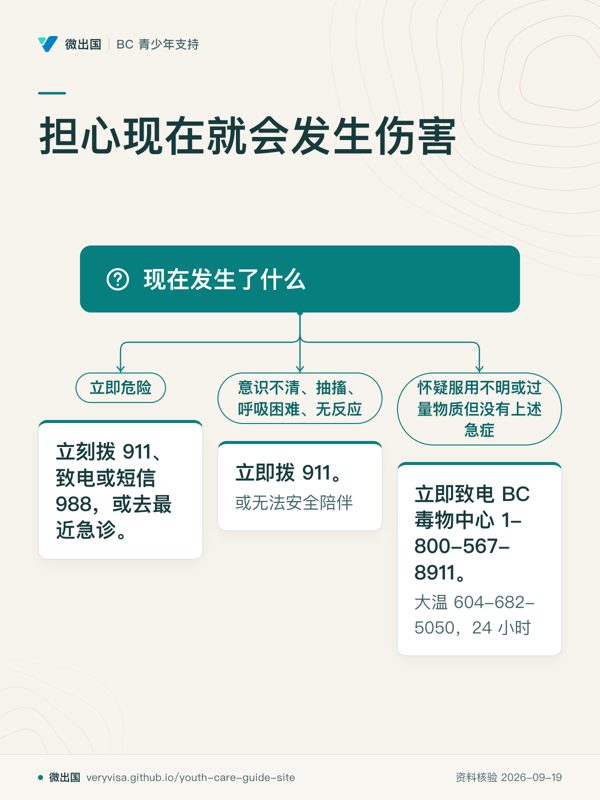 担心现在就会发生伤害;现在发生了什么;立即危险;立刻拨 911、致电或短信 988,或去最近急诊。;意识不清、抽搐、呼吸困难、无反应;立即拨 911。;怀疑服用不明或过量物质但没有上述急症;立即致电 BC 毒物中心 1-800-567-8911。